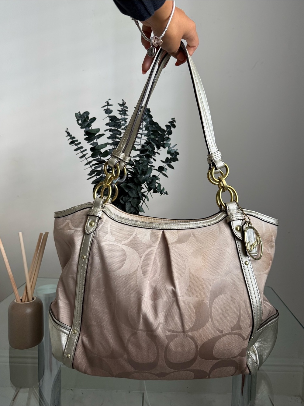 Coach Alexandra Signature Ombré Chain Tote